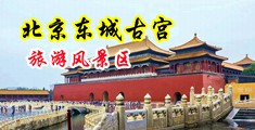 大色男小淫女肏屄网中国北京-东城古宫旅游风景区